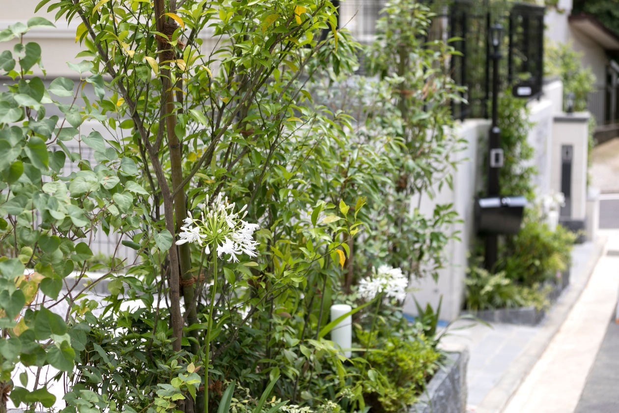 住宅外構における庭づくり・植栽整備